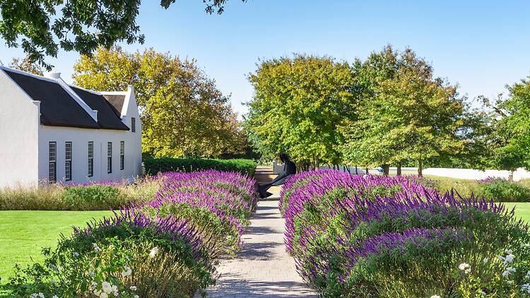 Review: Steenberg Hotel & Spa