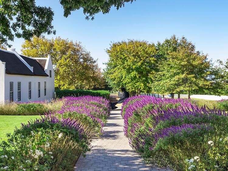Review: Steenberg Hotel & Spa