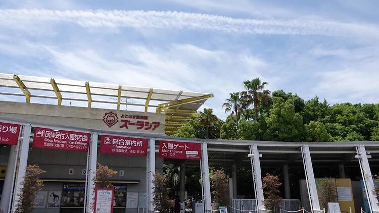 よこはま動物園ズーラシア よこはま動物園ズーラシア