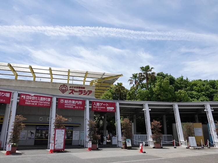 「よこはま動物園ズーラシア」でキャンプイベントが開催 「よこはま動物園ズーラシア」でキャンプイベントが開催