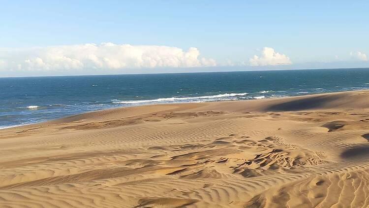 Los Ángeles - Necochea Los Ángeles - Necochea