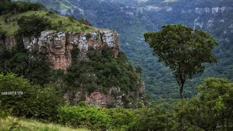 Krantzkloof Nature Reserve Krantzkloof Nature Reserve