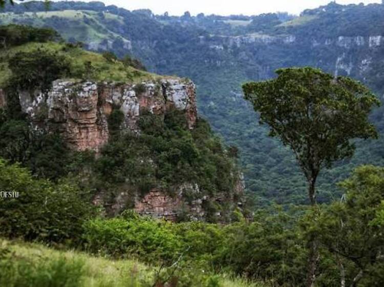 Krantzkloof Nature Reserve Krantzkloof Nature Reserve