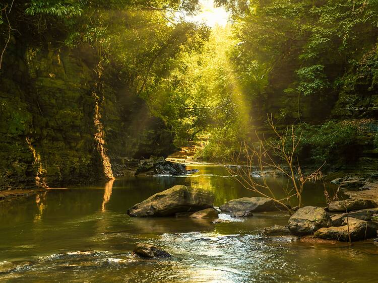 Nature's wonder Nature's wonder