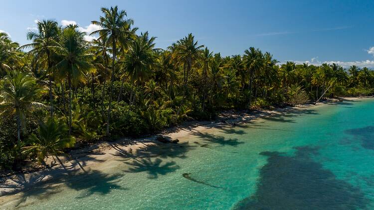 Aerial view of Boca del Drago beach, Bocas del Toro, Panama Aerial view of Boca del Drago beach, Bocas del Toro, Panama