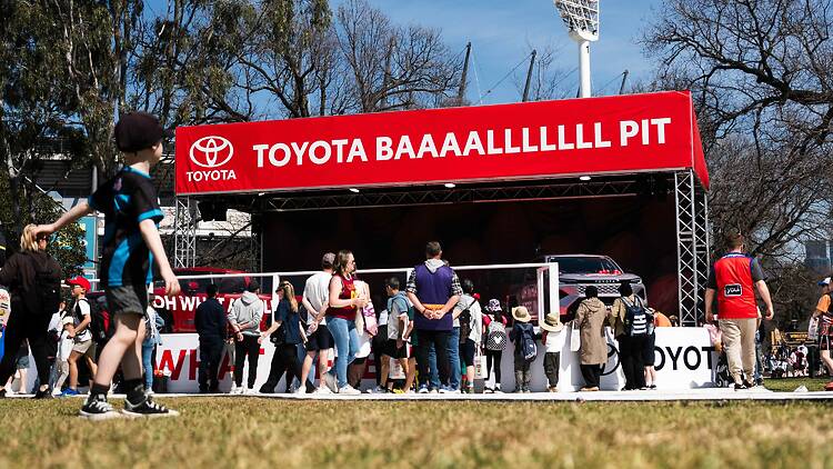 The Toyota Baaalllllll Pit The Toyota Baaalllllll Pit