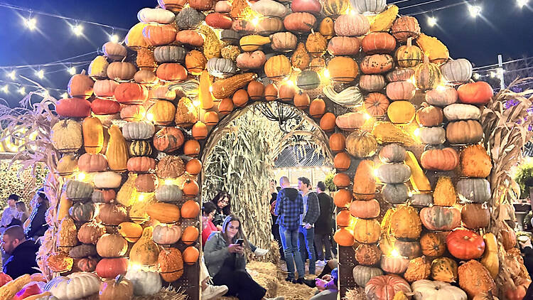 Jack's Pumpkin Pop-Up