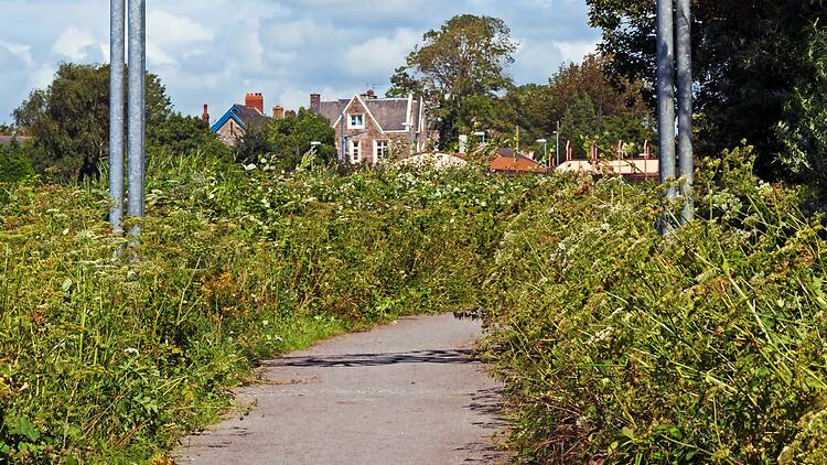 Strawberry Line Path, Somerset Strawberry Line Path, Somerset