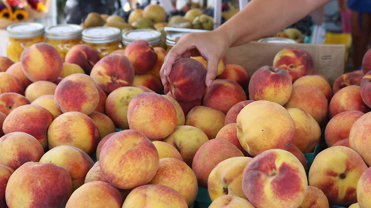 Wicker Park Farmers Market Wicker Park Farmers Market