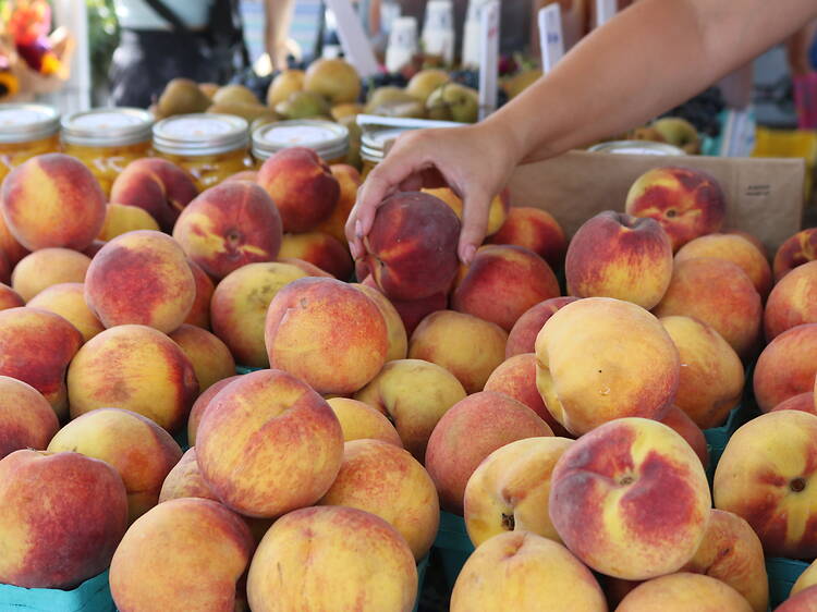 Wicker Park Farmers Market Wicker Park Farmers Market