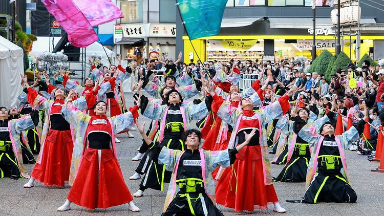 ふくろ祭り 東京よさこい ふくろ祭り 東京よさこい