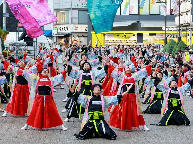 ふくろ祭り 東京よさこい ふくろ祭り 東京よさこい