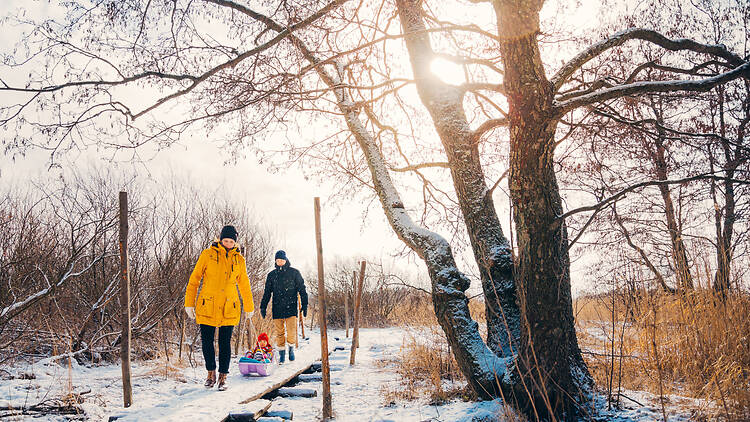 Viikki (luontoa ja tiedettä) Viikki (luontoa ja tiedettä)