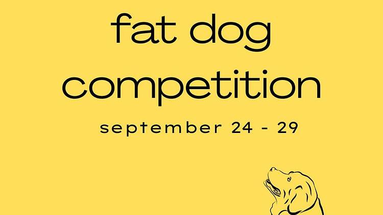 Fat Dogs of Delhi poster for the competition Fat Dogs of Delhi poster for the competition