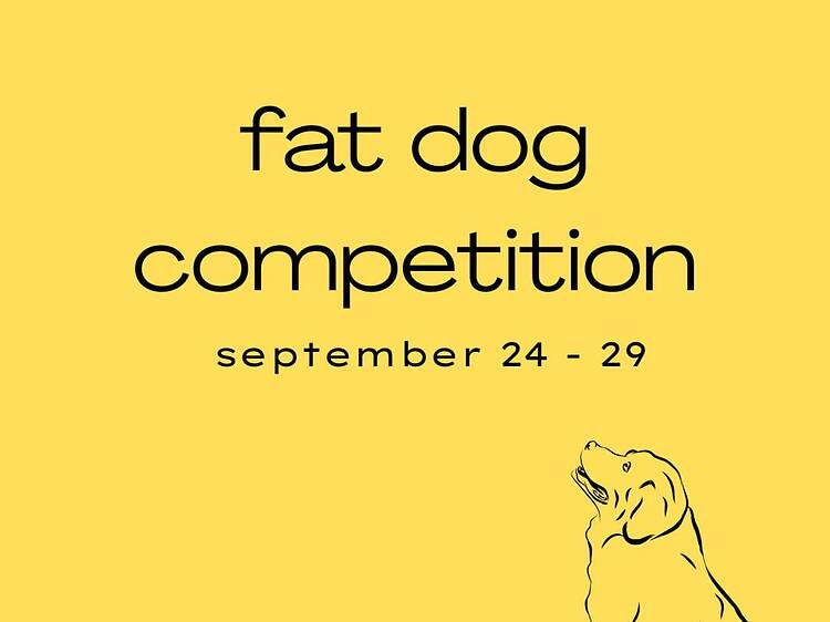 The fat dogs of Delhi are gearing up for election season, and it's fierce The fat dogs of Delhi are gearing up for election season, and it's fierce