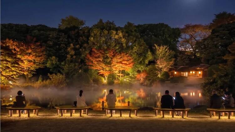 Zen Night Tokyo