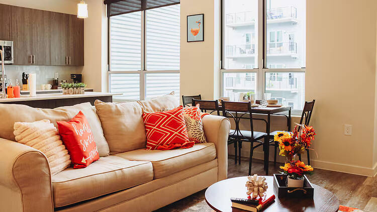 Best for budget Downtown stays: The cheerful city pad with a pool Best for budget Downtown stays: The cheerful city pad with a pool