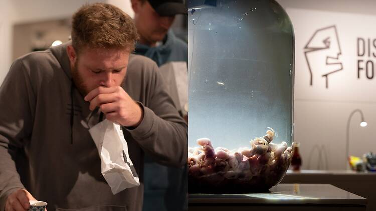 Disgusting Food Museum