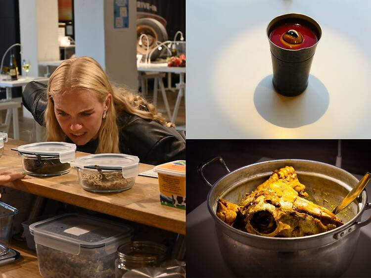 Disgusting Food Museum Disgusting Food Museum