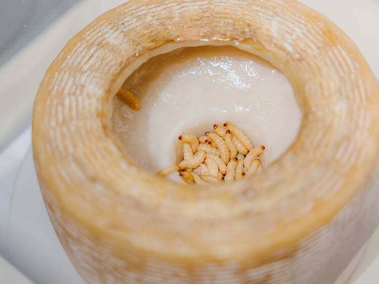 「嘔心食物博物館」展覽首次登陸啟德