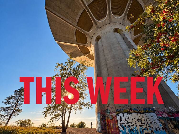Whatâs on in Helsinki this week Whatâs on in Helsinki this week