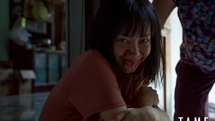 Tame เลี้ยงไม่เชื่อง Tame เลี้ยงไม่เชื่อง