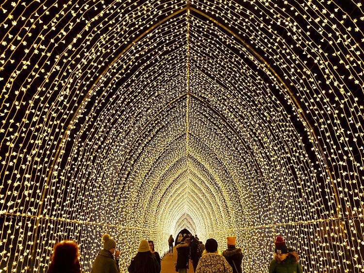 Lightscape Lightscape