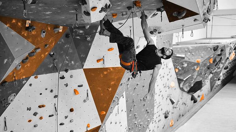 Manhattan Plaza Health Club's climbing wall.