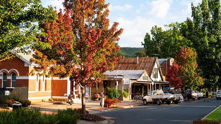 Bright Bright streetscape
