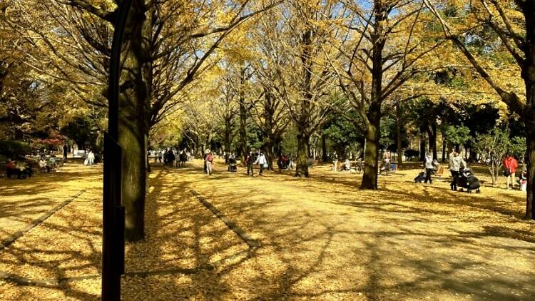 光が丘公園