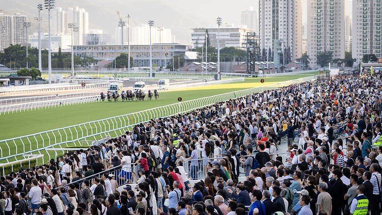 10月1日國慶活動2026：國慶賽馬日