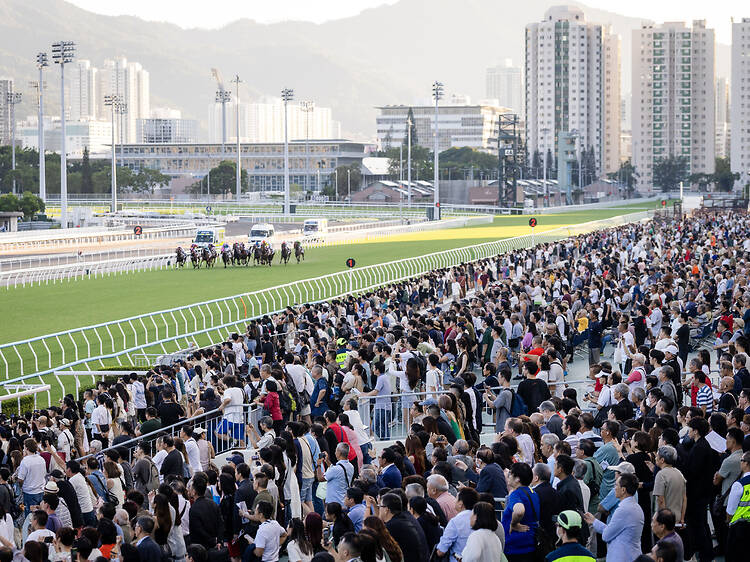 10月1日國慶活動2026：國慶賽馬日