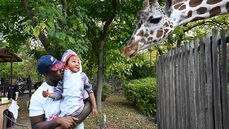 Boo! at the Zoo Boo! at the Zoo