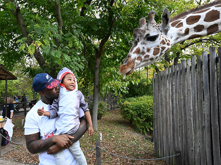 Boo! at the Zoo Boo! at the Zoo