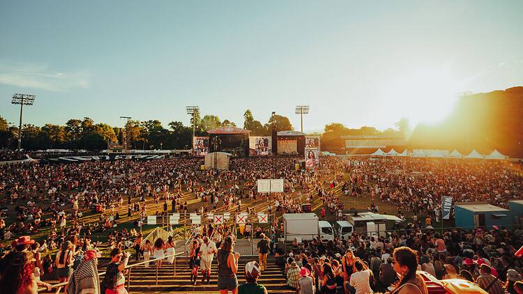 Laneway Festival Laneway Festival