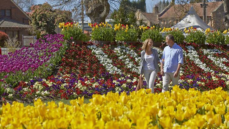 3. Take NSW TrainLink to escape to the Southern Highlands 3. Take NSW TrainLink to escape to the Southern Highlands