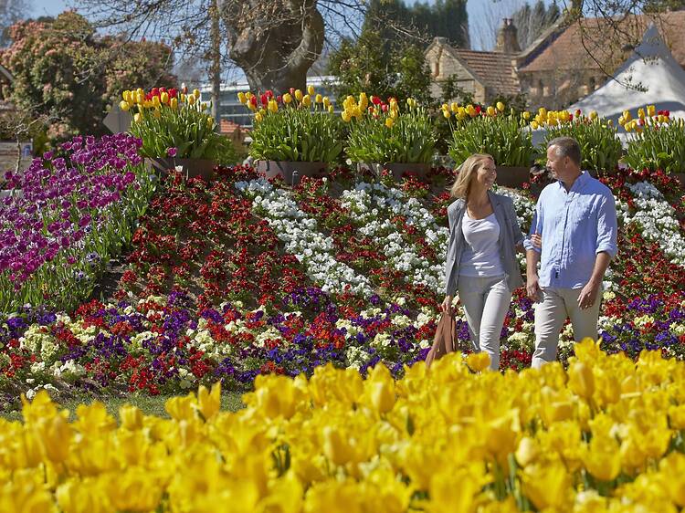 3. Take NSW TrainLink to escape to the Southern Highlands 3. Take NSW TrainLink to escape to the Southern Highlands