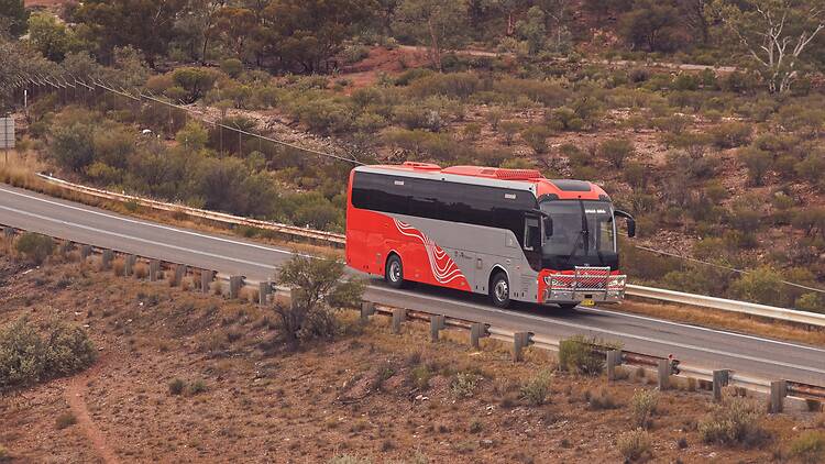 2. Follow the wildflowers to your next weekend getaway via NSW TrainLink 2. Follow the wildflowers to your next weekend getaway via NSW TrainLink