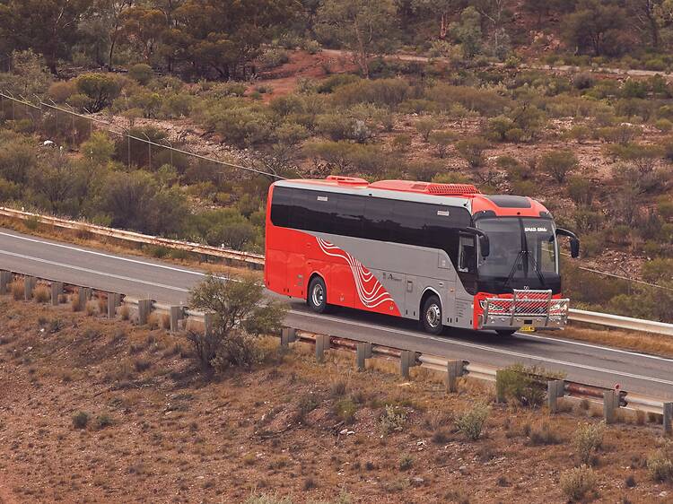2. Follow the wildflowers to your next weekend getaway via NSW TrainLink 2. Follow the wildflowers to your next weekend getaway via NSW TrainLink