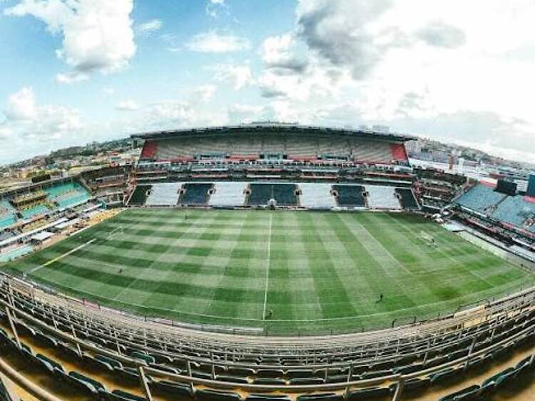 Sharks vs Leinster: everything you need to know before heading to Kings Park