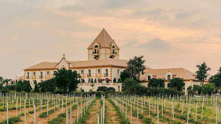 In the basement of Hotel Irada is a state-of-the-art wine production facility