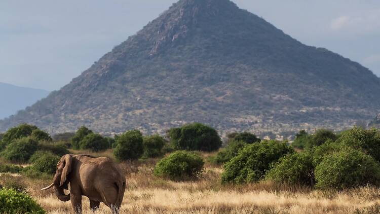 Kenya Kenya