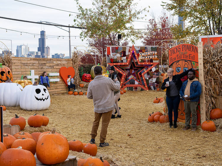 Jack's Pumpkin Pop-Up Jack's Pumpkin Pop-Up