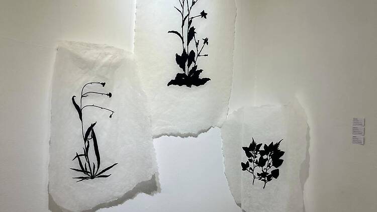 Paula Dreidemie: preguntas existenciales hechas obra Paula Dreidemie: preguntas existenciales hechas obra