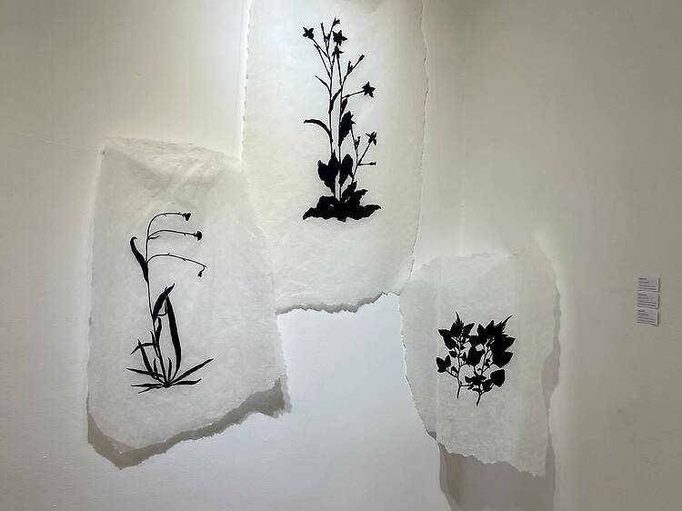 Paula Dreidemie: preguntas existenciales hechas obra Paula Dreidemie: preguntas existenciales hechas obra