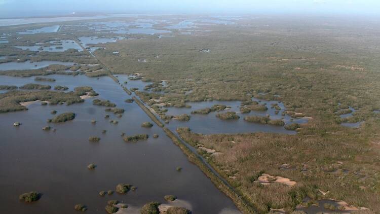11. Everglades 11. Everglades