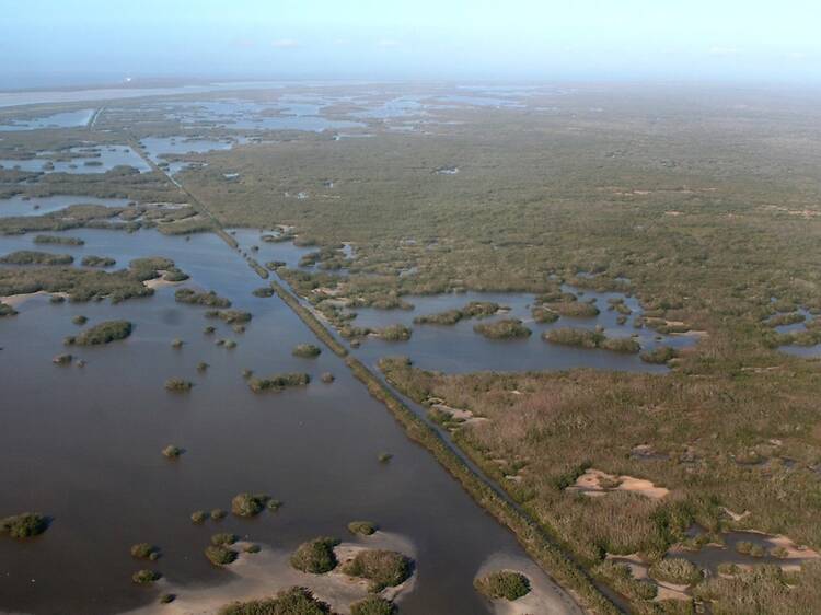 11. Everglades 11. Everglades