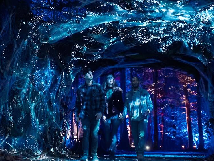 Experiencia: Bosque Prohibido de Harry Potter