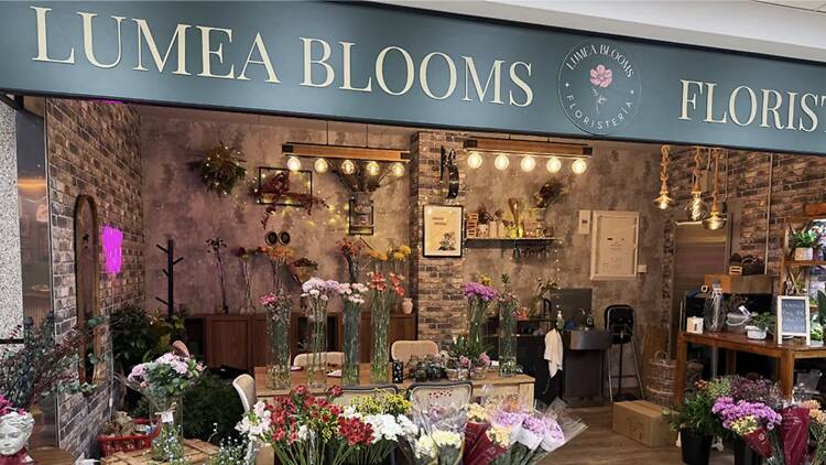 Lumea Blooms Lumea Blooms