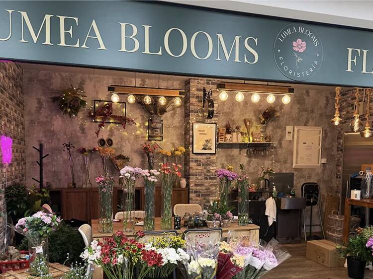Lumea Blooms Lumea Blooms